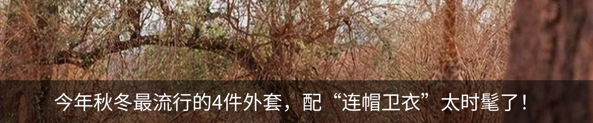 行业资讯