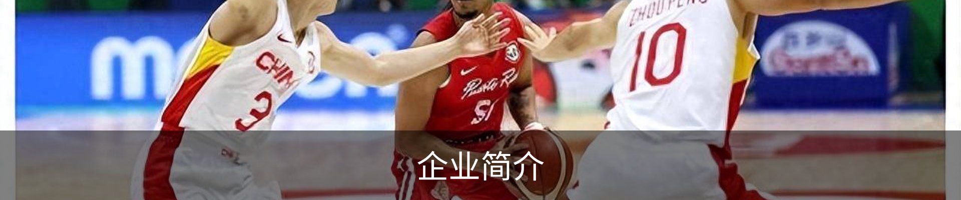 企业简介