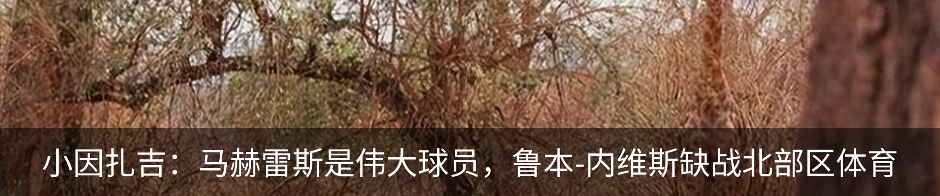 行业资讯